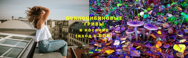 прущая мука Нефтегорск