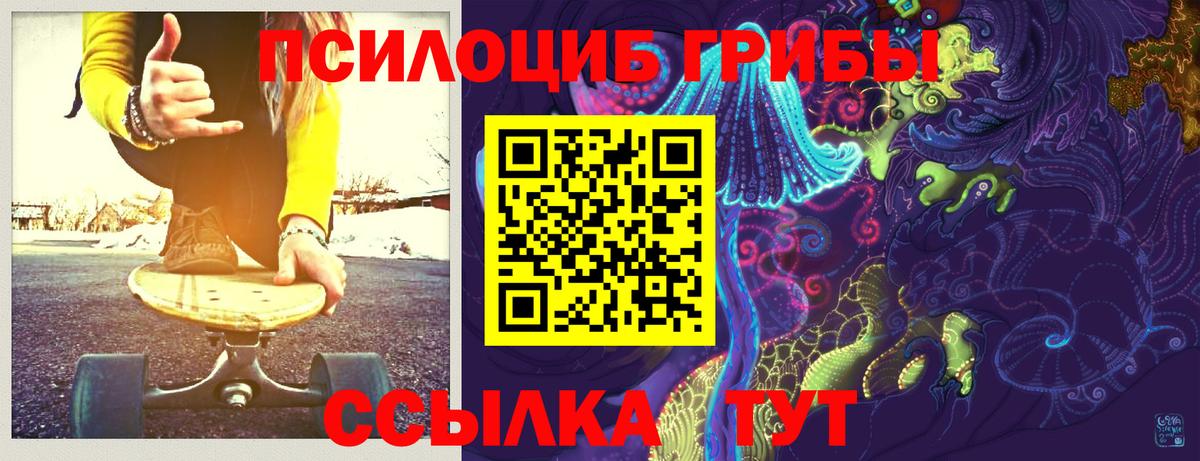 Галлюциногенные грибы Psilocybe  Вход с VPN  Холмск 